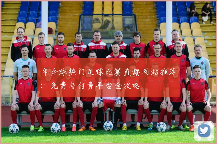 年全球热门足球比赛直播网站推荐：免费与付费平台全攻略